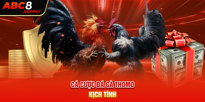 Cá cược đá gà Thomo kịch tính