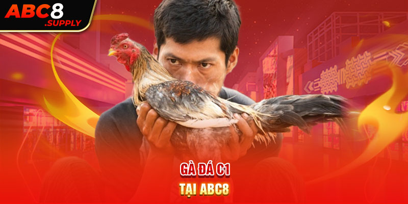 Gà đá C1 tại ABC8 