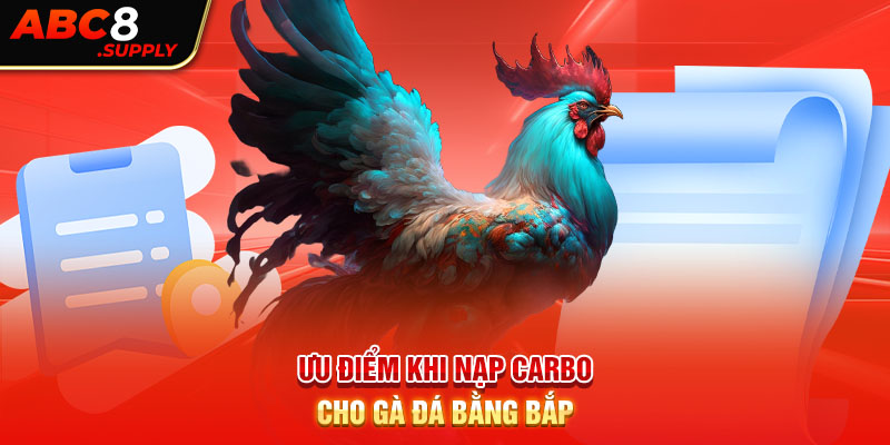 Ưu điểm khi nạp carbo cho gà đá bằng bắp